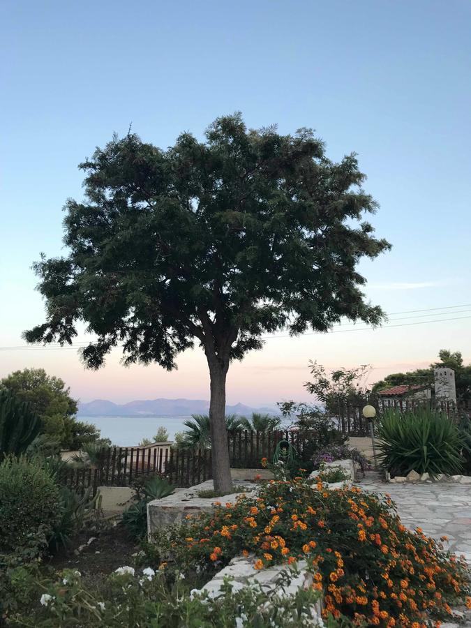 Villa Michela Scopello  Exteriér fotografie